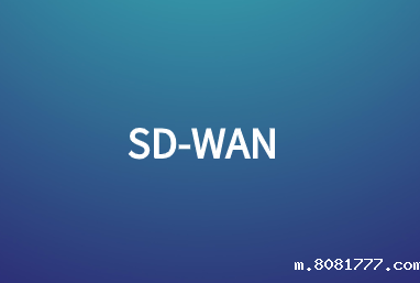 向SD-WAN 2.0的演进