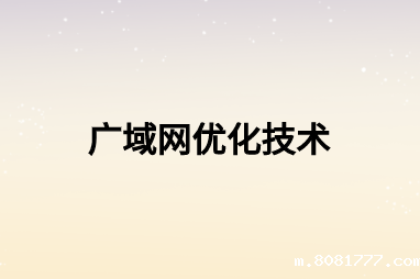广域网优化技术可以应用到什么场景中?