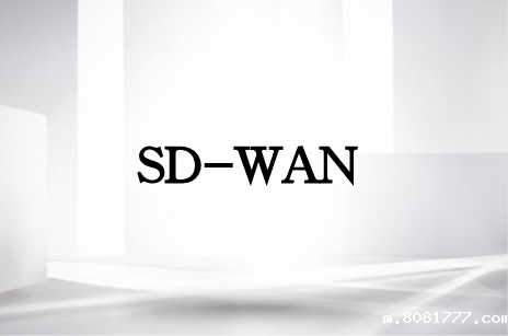 SDWAN 5G结合实现什么?