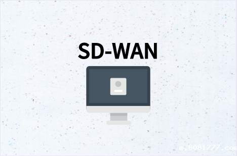SD-WAN传统架构
