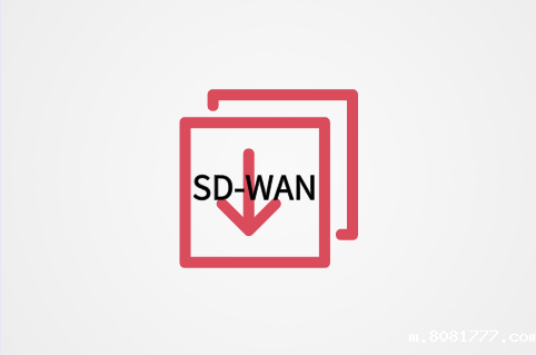 以应用为中心的SD-WAN