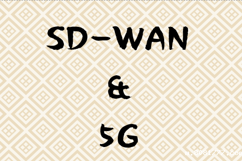 如何确保SD-WAN与5G协同工作?