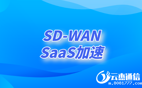 SDWAN多少钱一个月?