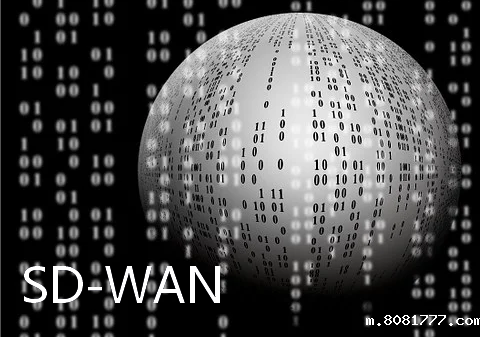 SD-WAN组网技术