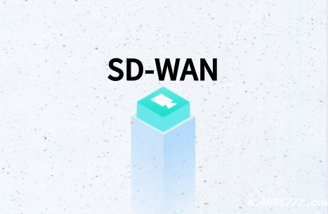 SD-WAN传统实施方式