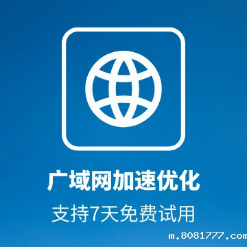 广域网加速优化