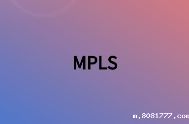 网络的成本是多少?