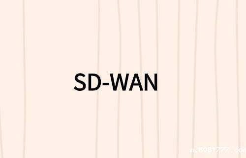 在SD-WAN必威体育app官方下载精装版中寻找什么?
