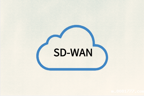 Google SD-WAN